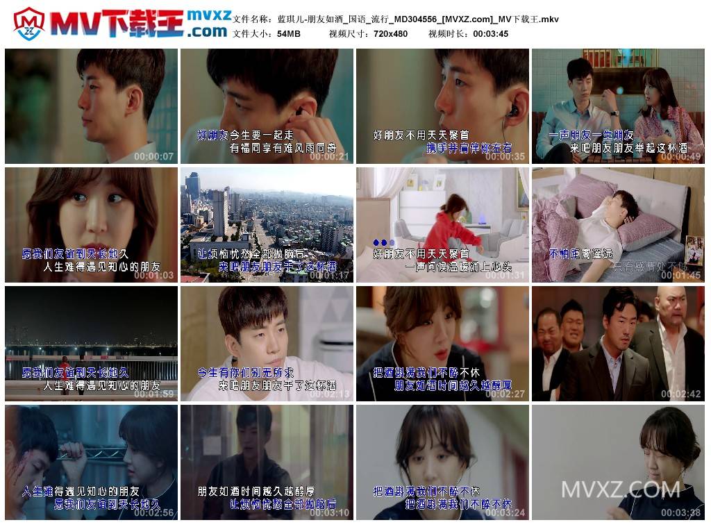 蓝琪儿-朋友如酒_国语_流行_MD304556